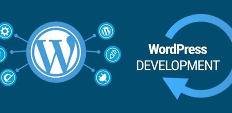 WordPress建站全维度拆解：优势、弊端与生死防线-货代QA社