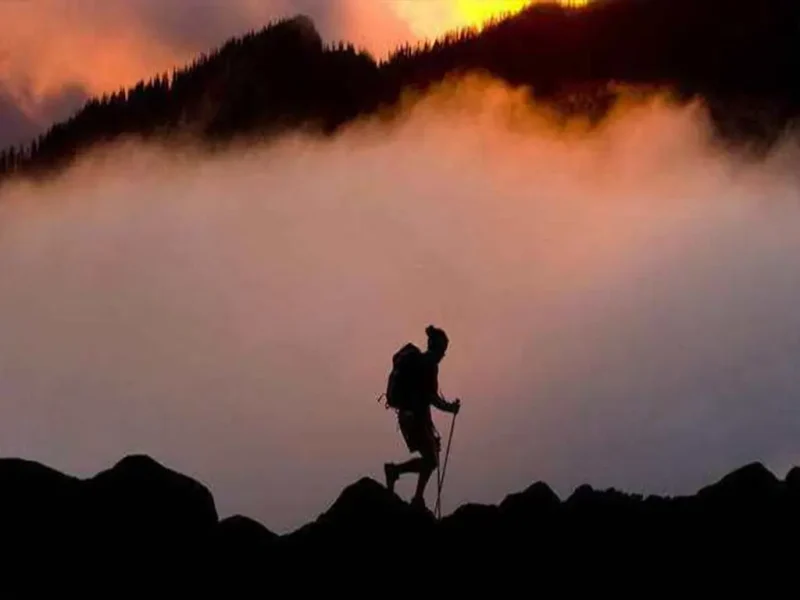 一枚国际货代菜鸟的进阶之路-货代QA社