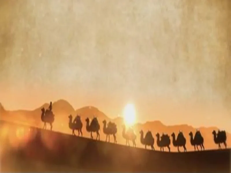 三十年商海浪涌，九万里丝路云帆-货代QA社