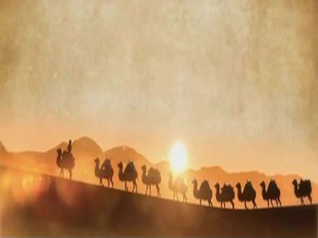 三十年商海浪涌，九万里丝路云帆-货代QA社