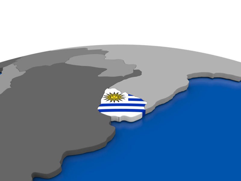 乌拉圭市场深度攻略：高效清关与货款风险防控指南-货代QA社