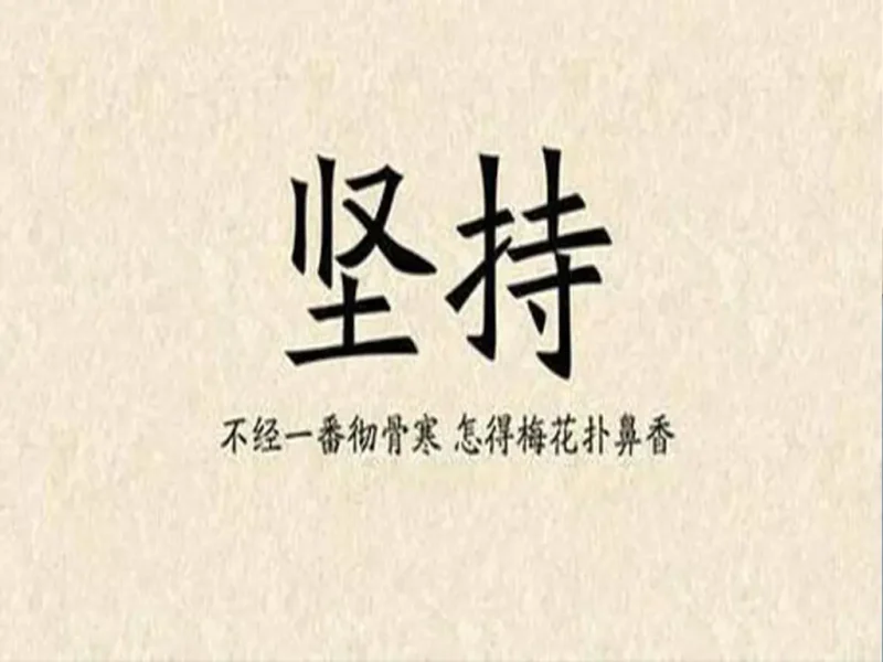 为什么做货代，没熬过三年等于白干？-货代QA社